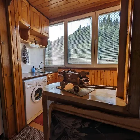 извор 6 Apartamento Smolyan